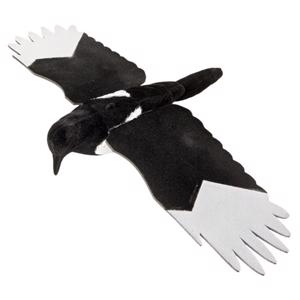 Husskade lokkefugl med vinger og flock